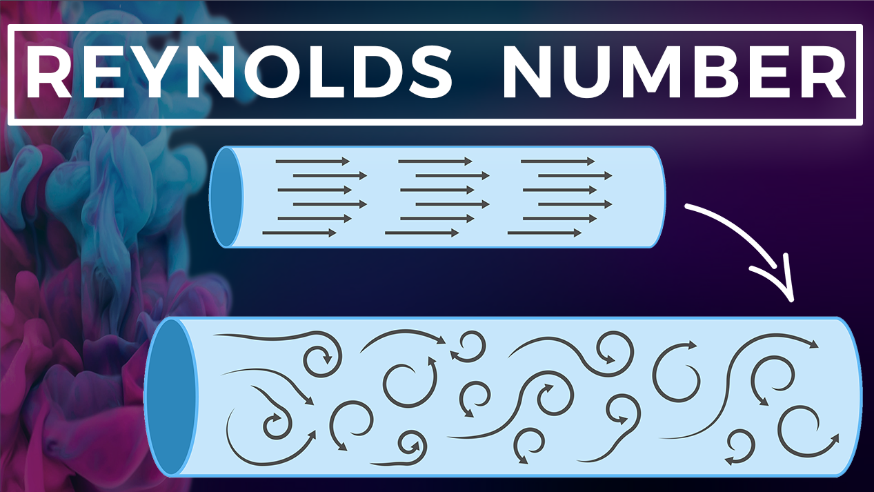 The Reynolds Number