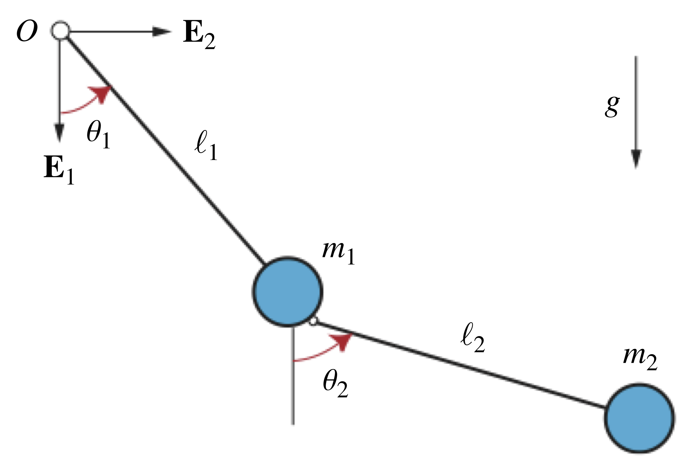 Schematic of a planar double pendulum.